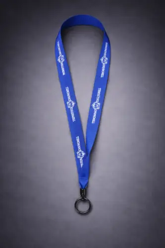 Lanyard